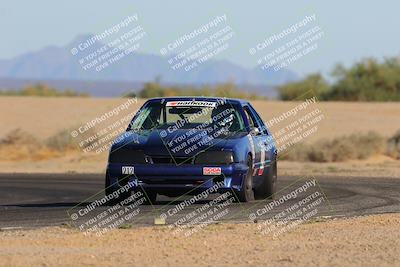 media/Oct-15-2023-Lucky Dog Racing Chuckwalla (Sun) [[f659570f60]]/4th Stint Turn 4 Tree of Life/